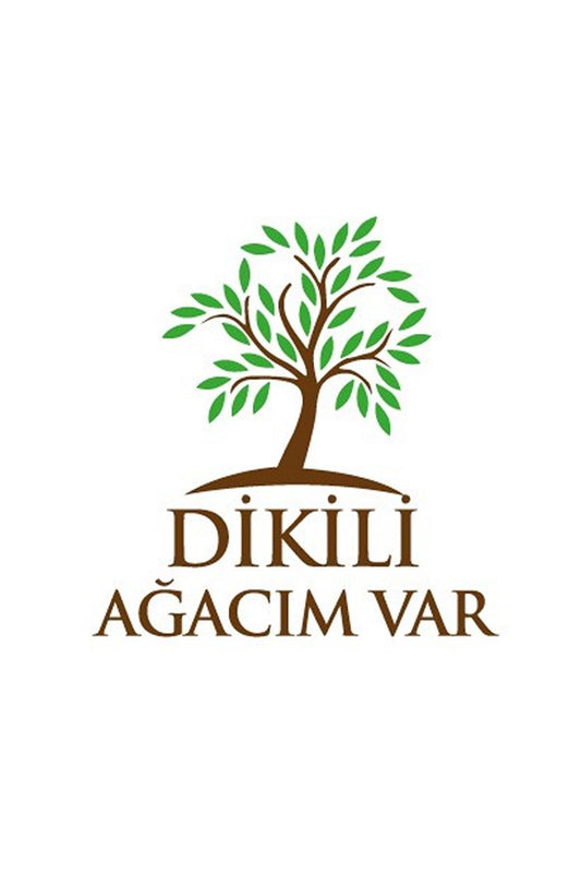 ÇEKUD Çevre Kuruluşları Dayanışma Derneği Hediye Ağaç Kampanyası